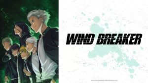 WIND BREAKER Season 1 Hindi Dubbed Episodes Watch Download HD